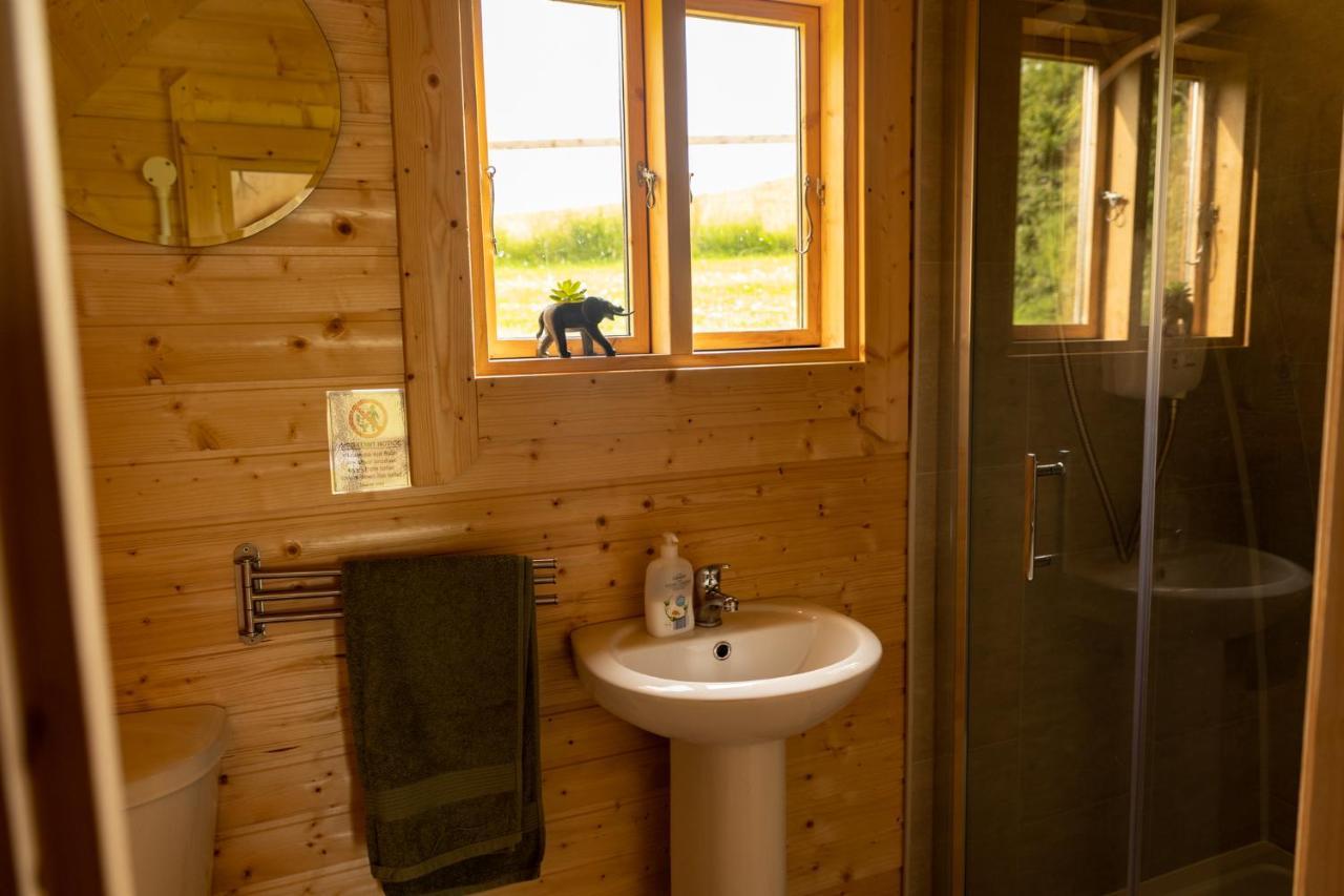 Ivy Hill Glamping Pod Apartment Ennis Exterior photo